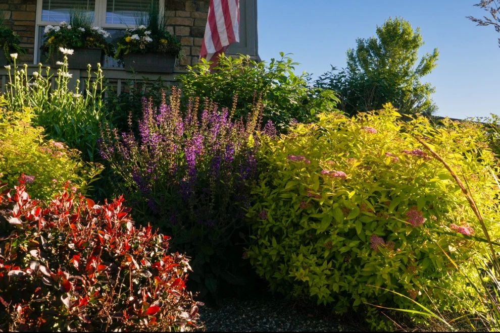 DUKE'S DETAILS by Duke's Landscape Company - Photo 31