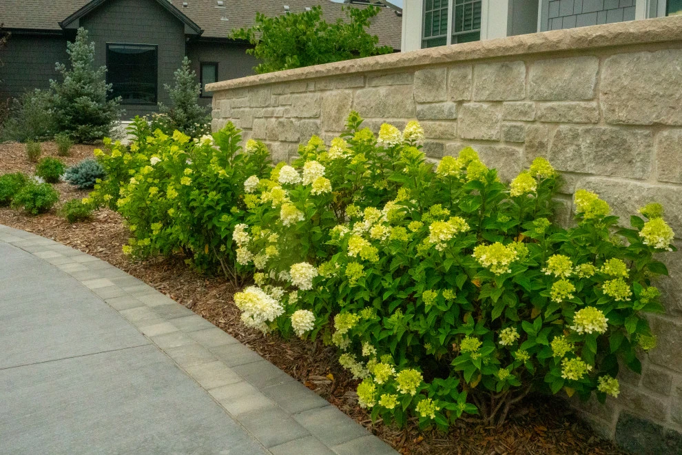 Duke's Landscape Company - Photo 8