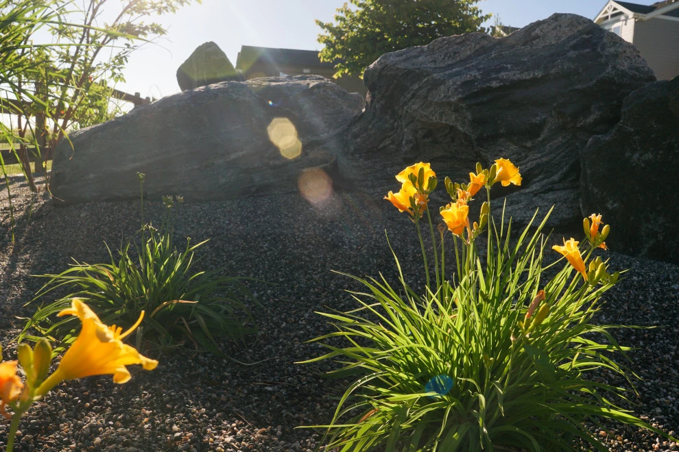Duke's Landscape Company - Photo 3