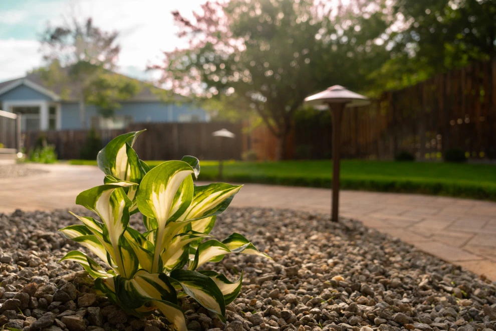 SUBURB SANCTUARY by Duke's Landscape Company - Photo 8