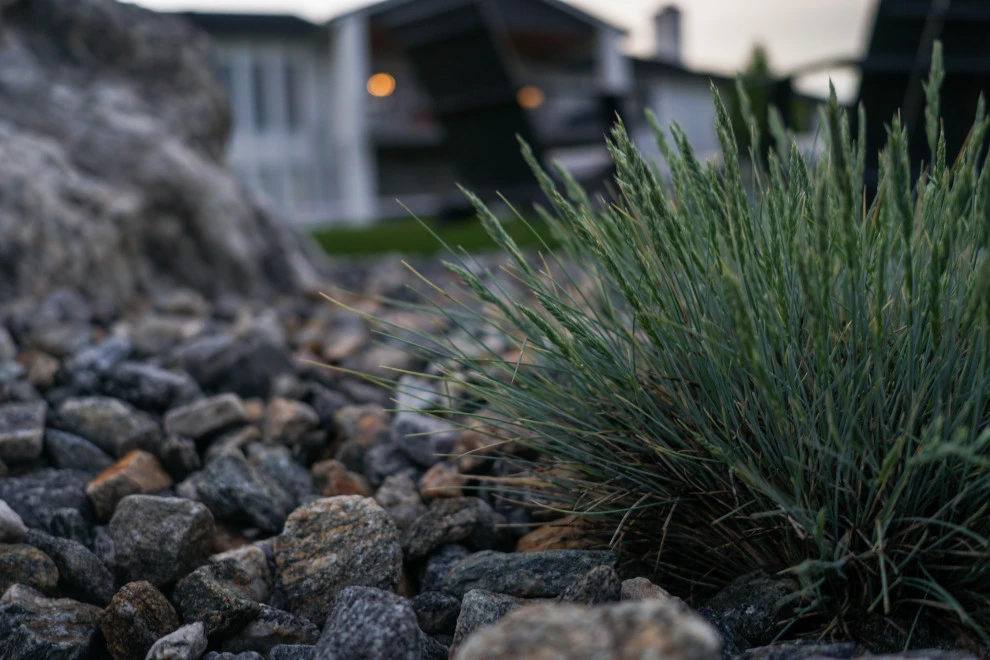 DUKE'S DETAILS by Duke's Landscape Company - Photo 47