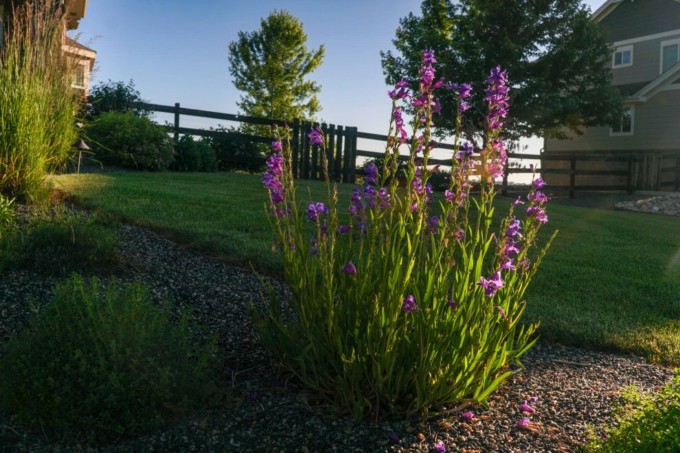 DUKE'S DETAILS by Duke's Landscape Company - Photo 40