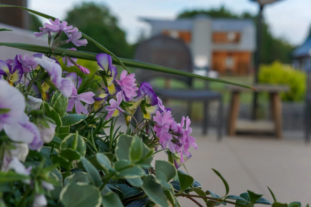DUKE'S DETAILS by Duke's Landscape Company - Photo 21