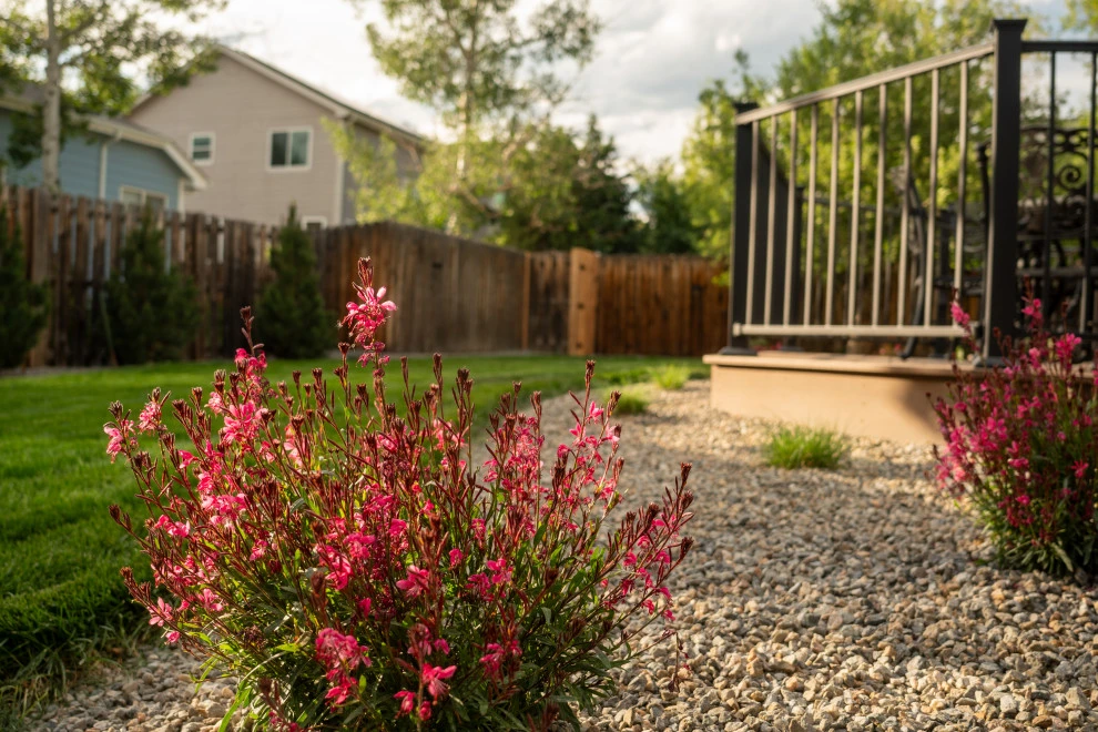 SUBURB SANCTUARY by Duke's Landscape Company - Photo 6