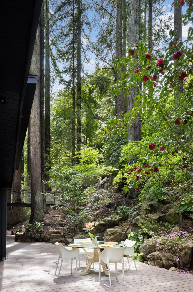 Mill Valley Two by Holder Parlette Architecture + Landscapes - Photo 7