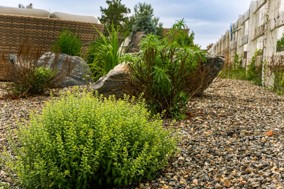 Duke's Landscape Company - Photo 7