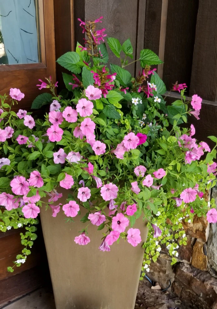 Container Gardens by Earth Songs Gardening - Photo 2