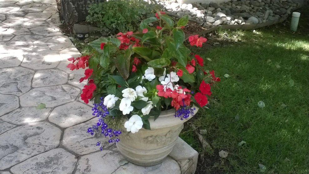 Container Gardens by Earth Songs Gardening - Photo 8