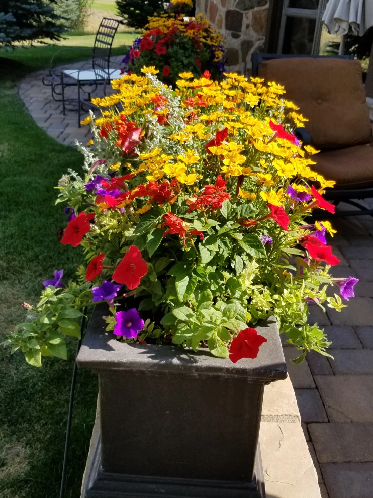 Earth Songs Gardening - Photo 6