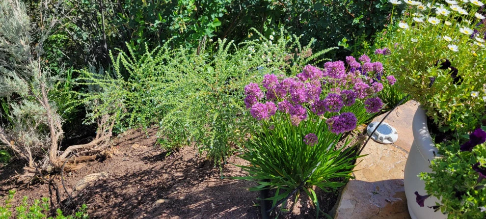 2024 Landscape Season by Earth Songs Gardening - Photo 22
