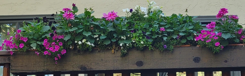 2024 Landscape Season by Earth Songs Gardening - Photo 3
