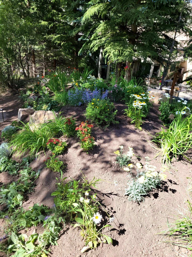 2024 Landscape Season by Earth Songs Gardening - Photo 20
