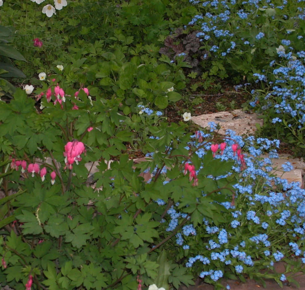 shade by Earth Songs Gardening - Photo 3
