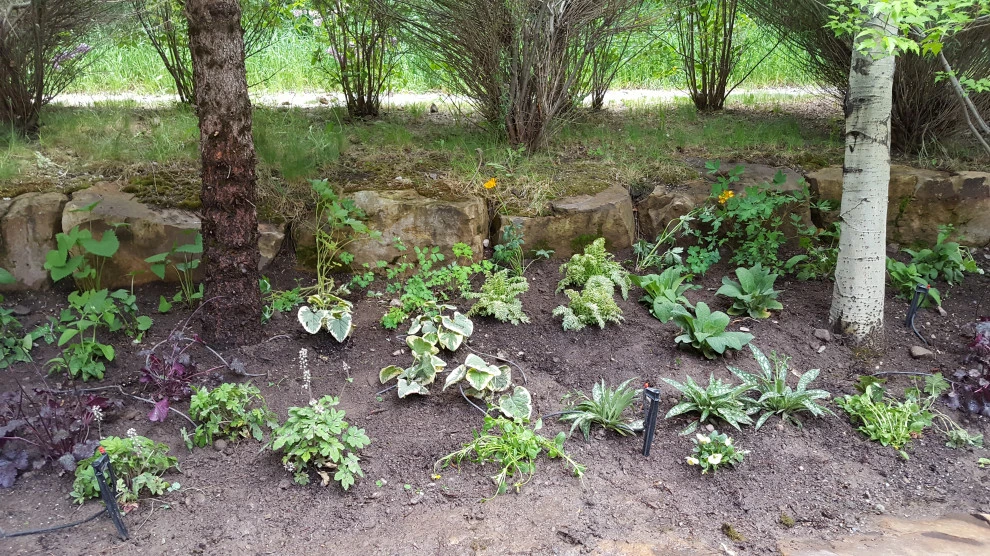 shade by Earth Songs Gardening - Photo 14