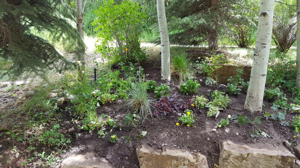 shade by Earth Songs Gardening - Photo 12