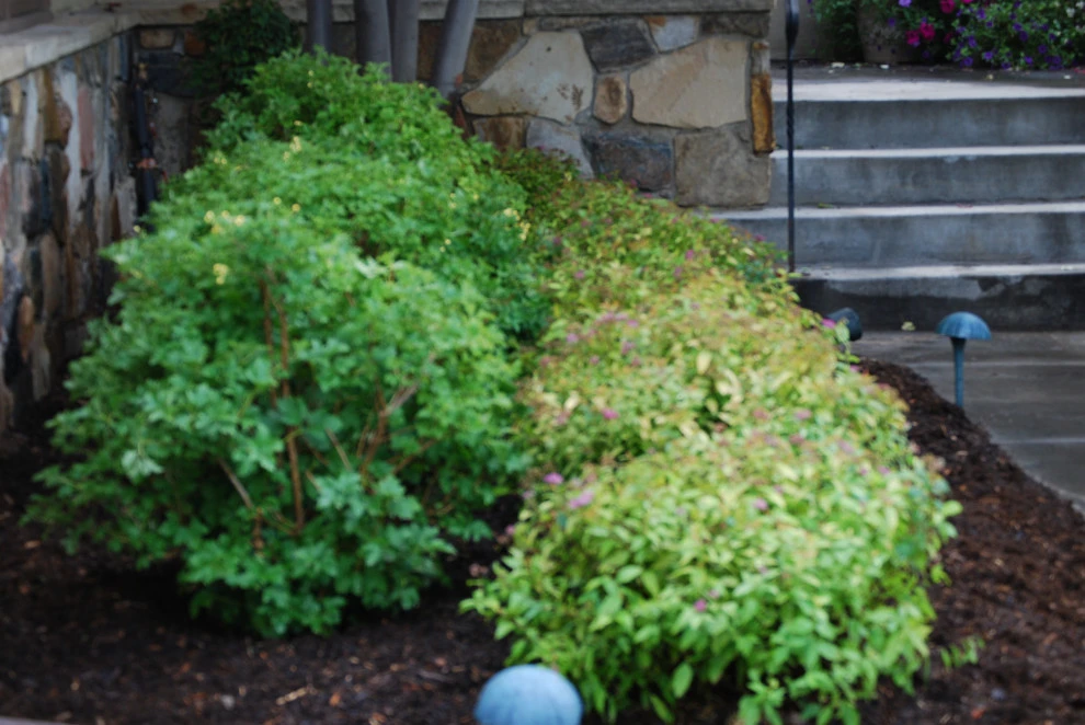 shade by Earth Songs Gardening - Photo 15