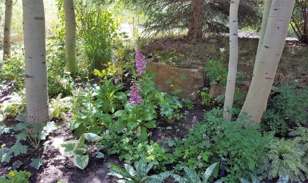 shade by Earth Songs Gardening - Photo 7