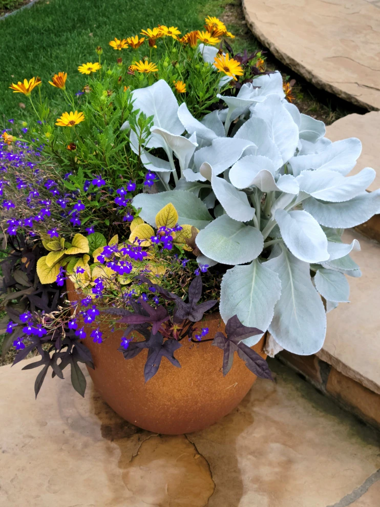 Container Gardens 2023 by Earth Songs Gardening - Photo 4