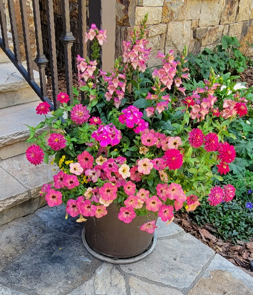 Container Gardens 2023 by Earth Songs Gardening - Photo 10