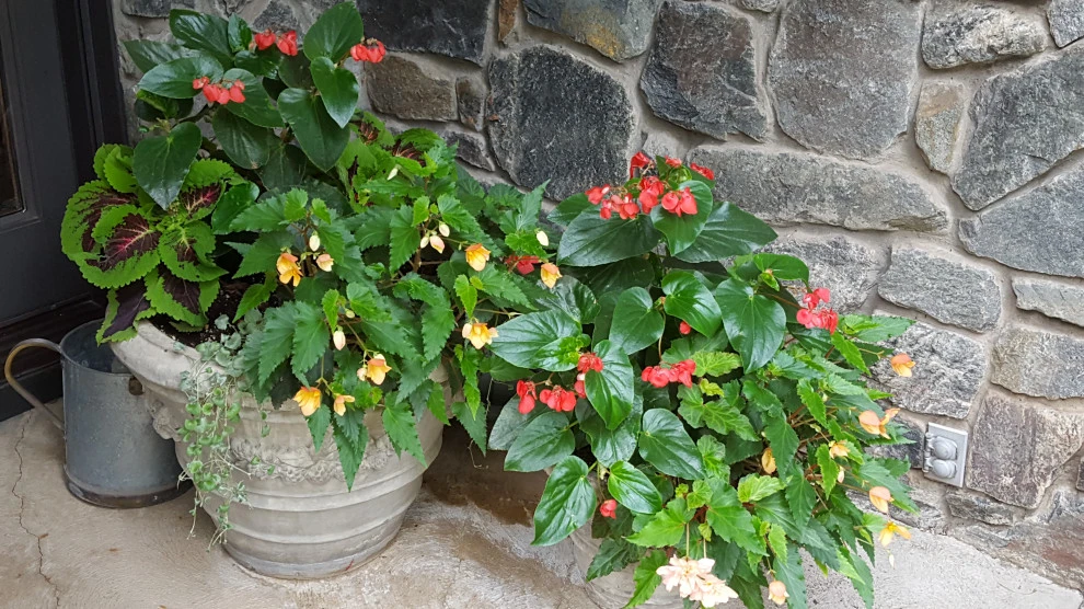 Container Gardens by Earth Songs Gardening - Photo 3