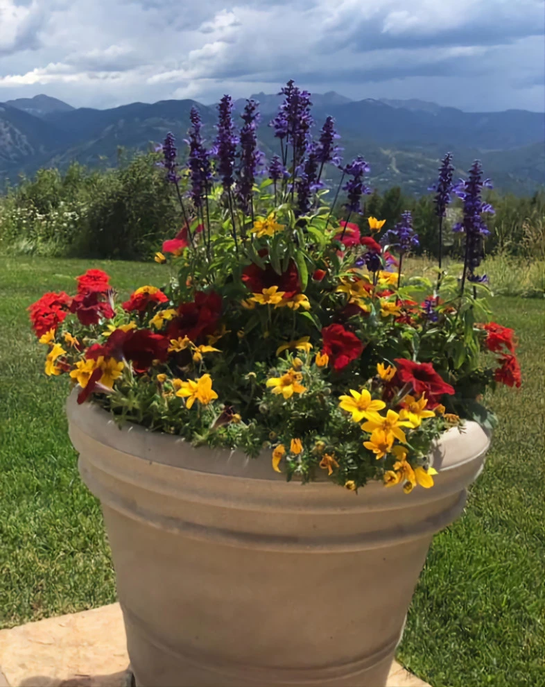 Container Gardens 2022 by Earth Songs Gardening - Photo 2