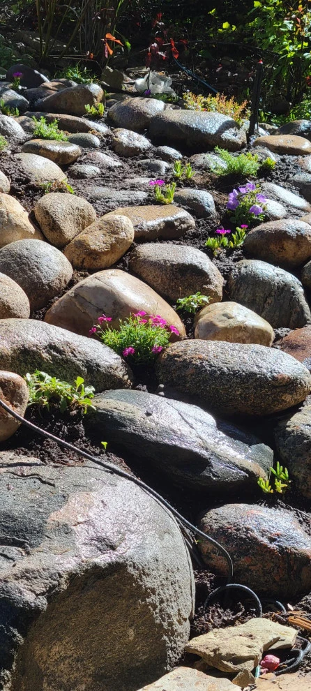 2024 Landscape Season by Earth Songs Gardening - Photo 14