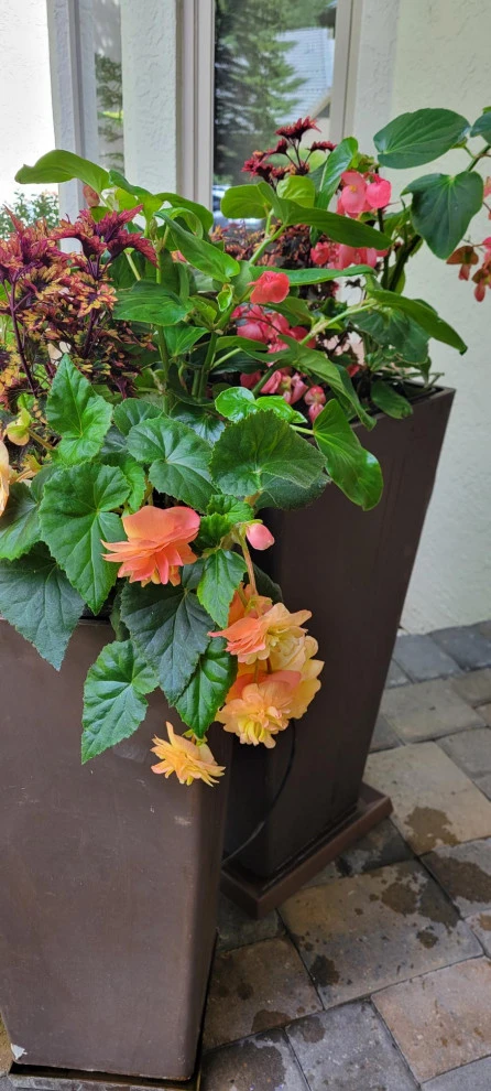 2024 Landscape Season by Earth Songs Gardening - Photo 28