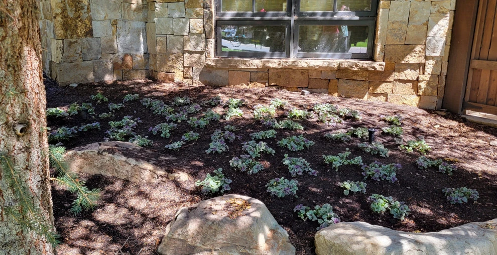 Gardens 2023 by Earth Songs Gardening - Photo 8