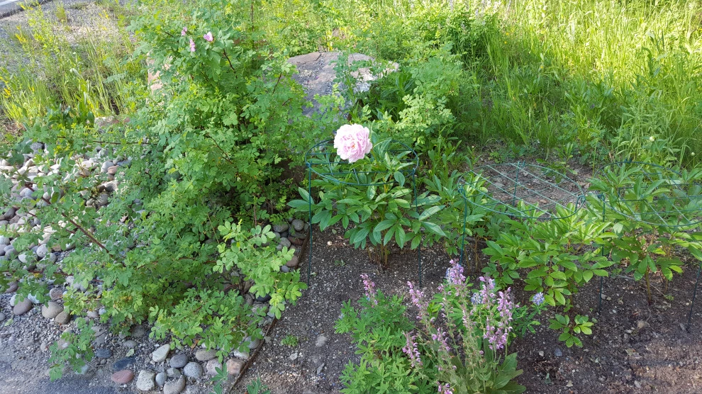 shade by Earth Songs Gardening - Photo 11