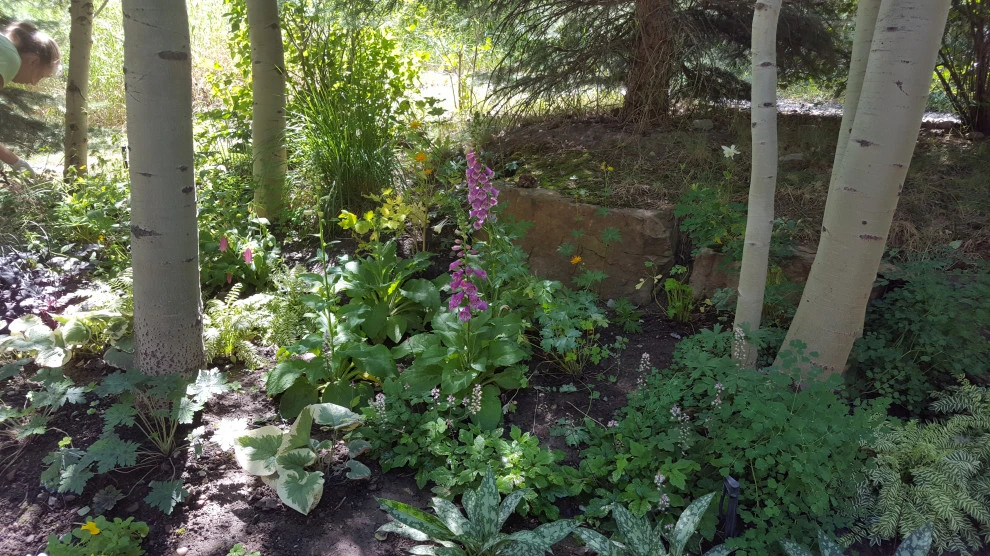 shade by Earth Songs Gardening - Photo 4