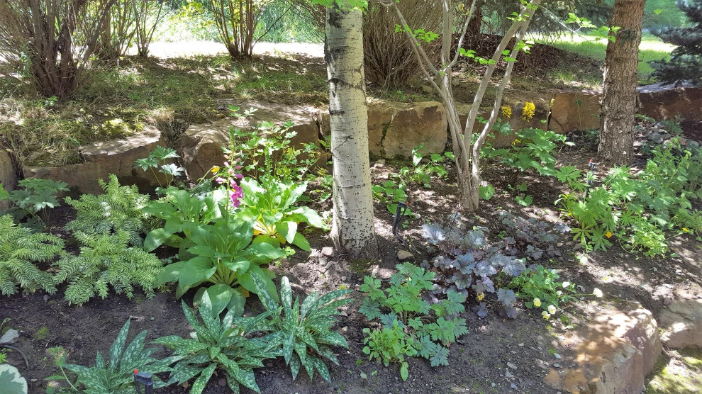 shade by Earth Songs Gardening - Photo 9