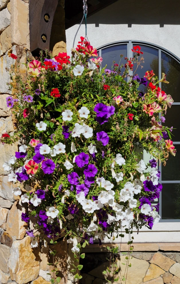 Container Gardens 2023 by Earth Songs Gardening - Photo 9