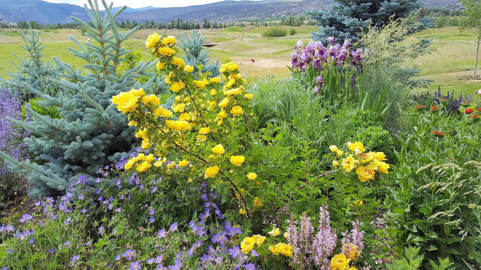 Sustainable Gardens by Earth Songs Gardening - Photo 4
