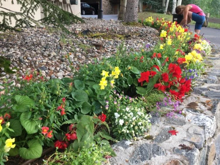 Vail Annual Gardens by Earth Songs Gardening - Photo 2