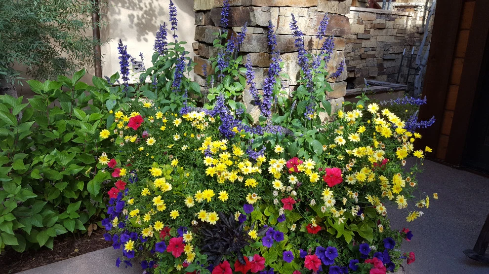 Container Gardens by Earth Songs Gardening - Photo 7