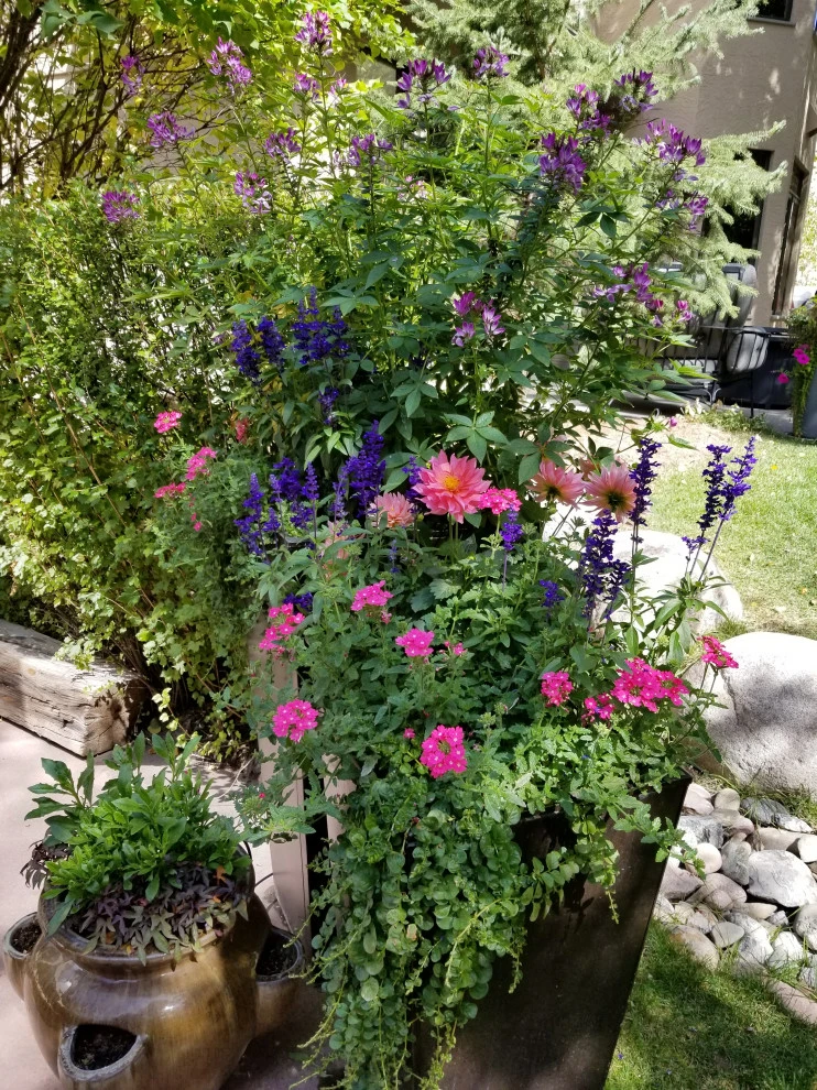Container Gardens 2022 by Earth Songs Gardening - Photo 6
