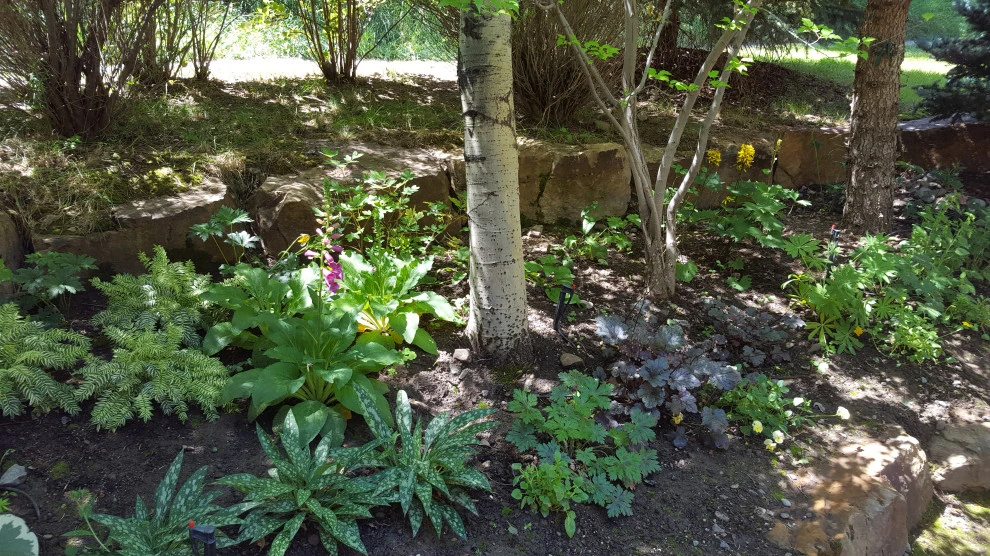 shade by Earth Songs Gardening - Photo 17