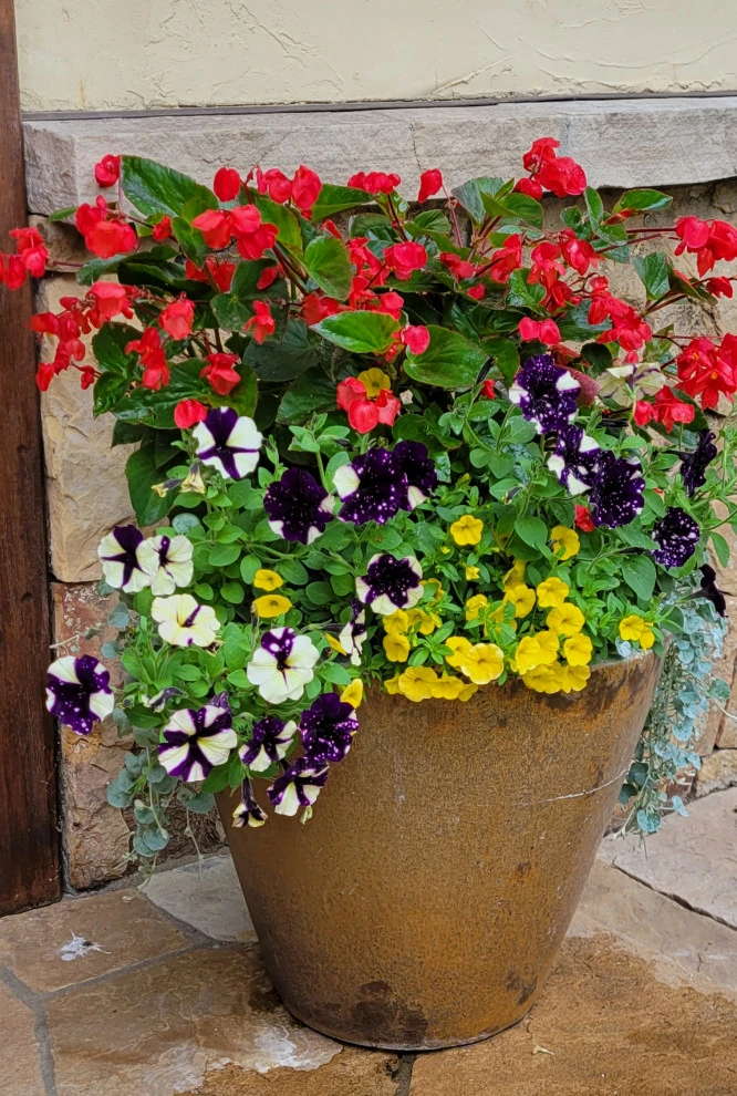 Container Gardens 2023 by Earth Songs Gardening - Photo 16