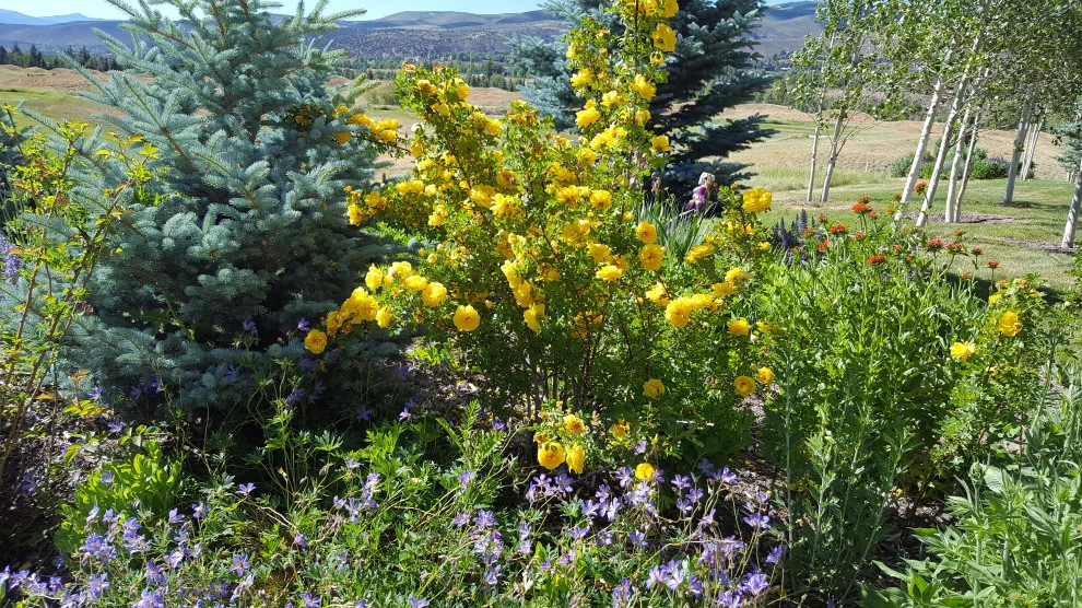 Sustainable Gardens by Earth Songs Gardening - Photo 2