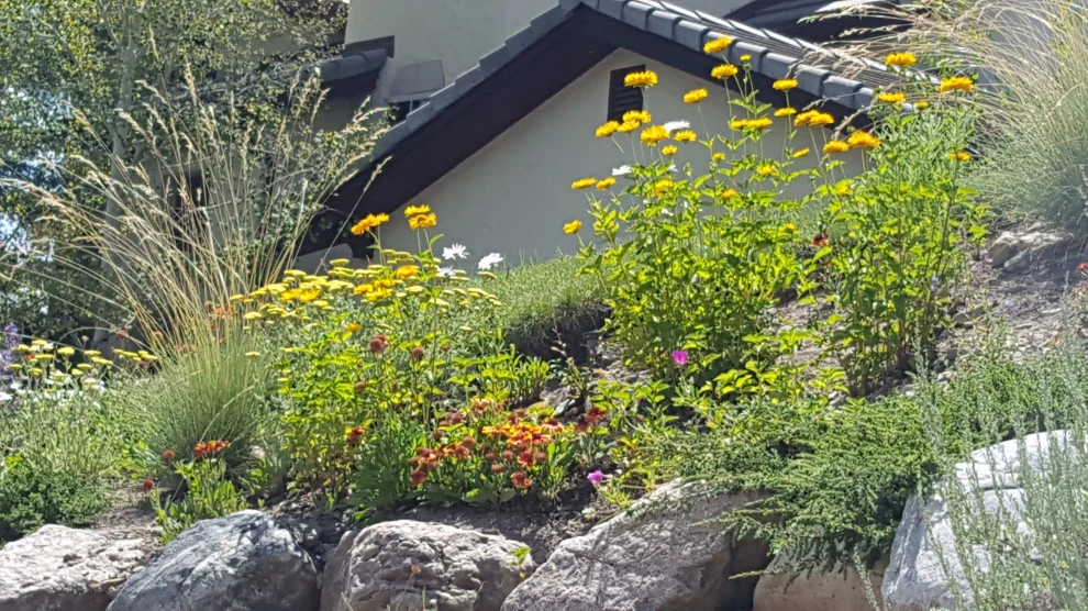 Sustainable Gardens by Earth Songs Gardening - Photo 9