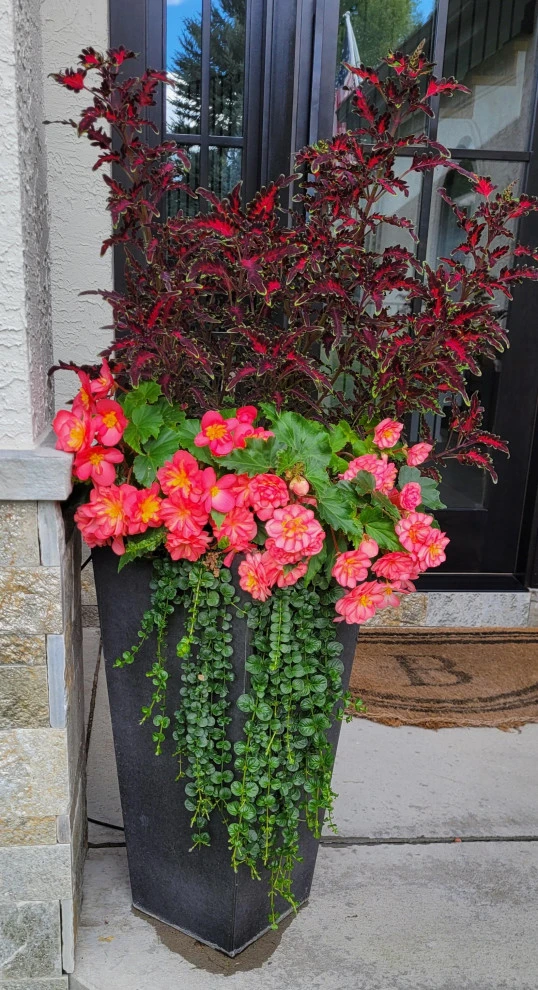 Earth Songs Gardening - Photo 11