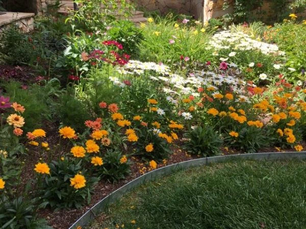 Gardens 2023 by Earth Songs Gardening - Photo 3