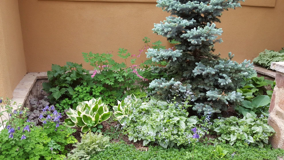 shade by Earth Songs Gardening - Photo 5
