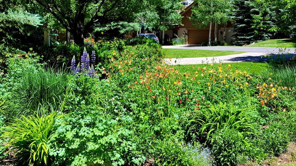 Sustainable Gardens by Earth Songs Gardening - Photo 12