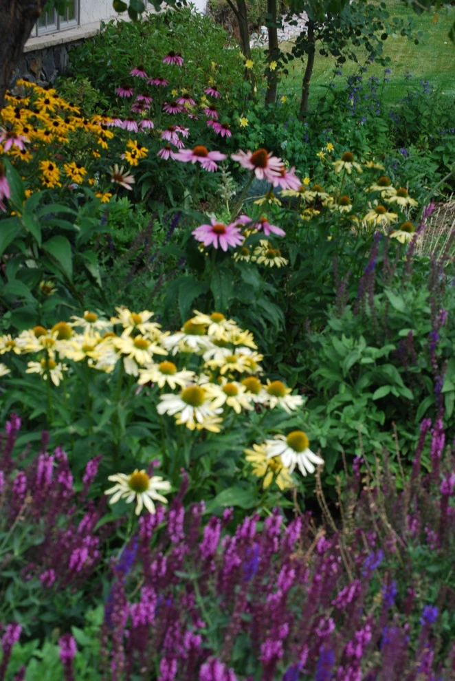 Earth Songs Gardening - Photo 7