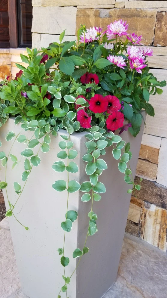 Container Gardens by Earth Songs Gardening - Photo 5