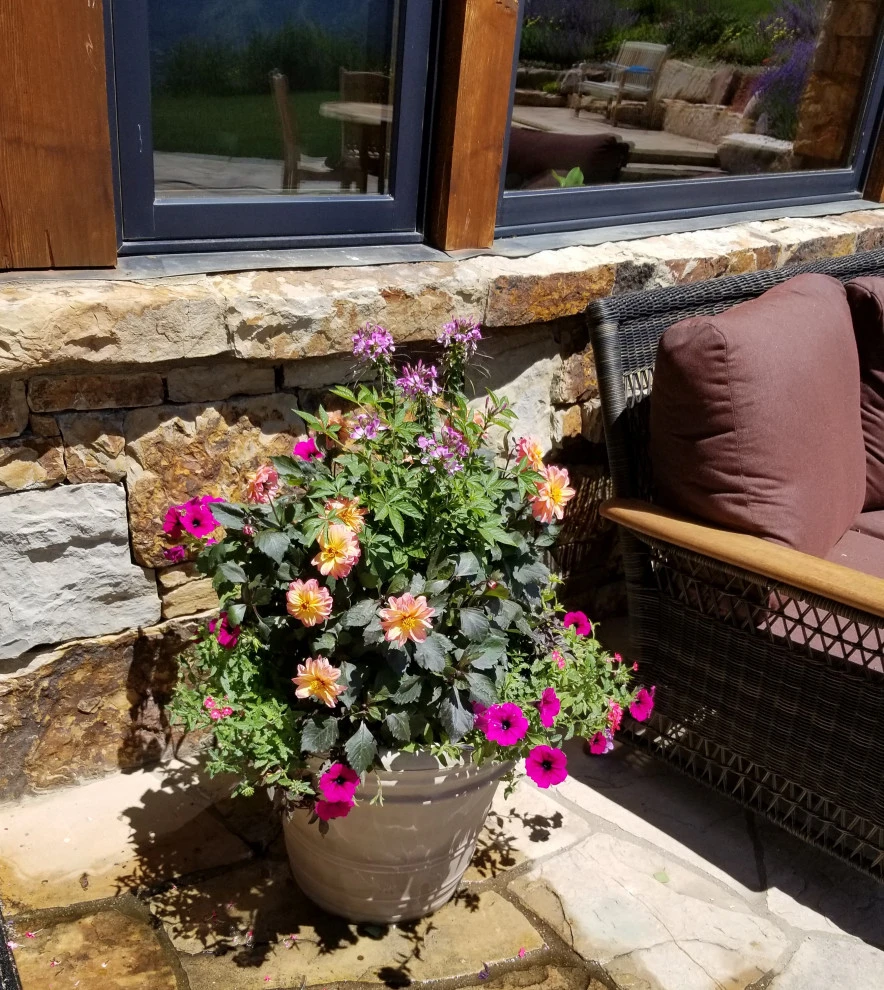 Container Gardens 2022 by Earth Songs Gardening - Photo 3
