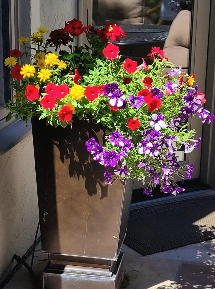 2024 Landscape Season by Earth Songs Gardening - Photo 10