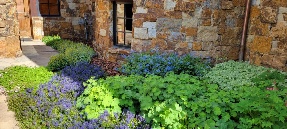 Gardens 2023 by Earth Songs Gardening - Photo 4