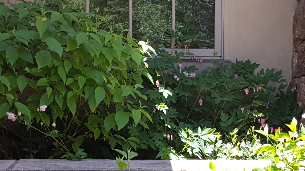 shade by Earth Songs Gardening - Photo 13